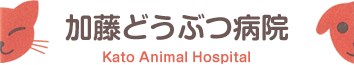 加藤どうぶつ病院｜苫小牧駅から車で5分
